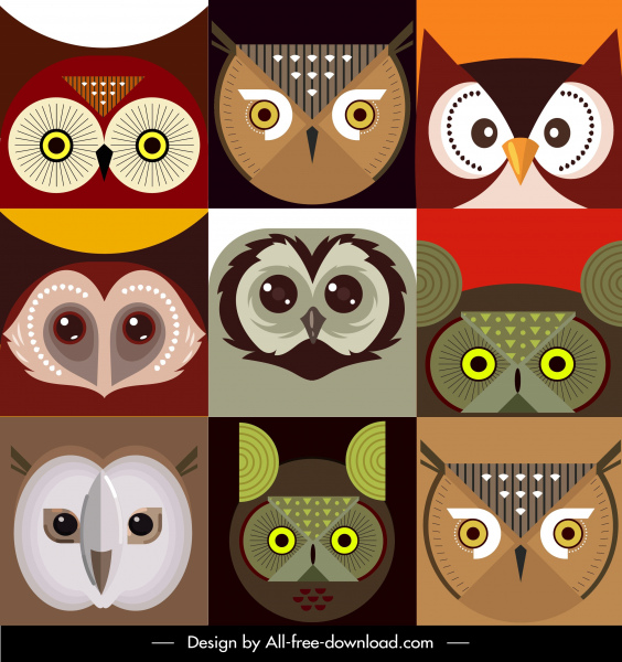 Owl khuôn mặt nền đầy màu sắc phẳng đối xứng closeup thiết kế