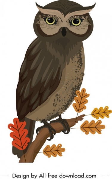 Owl sơn màu phim hoạt hình Sketch