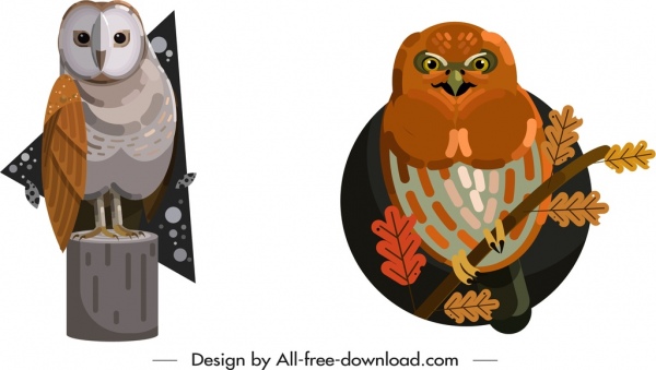 フクロウ野生動物のアイコン色の古典的なデザイン