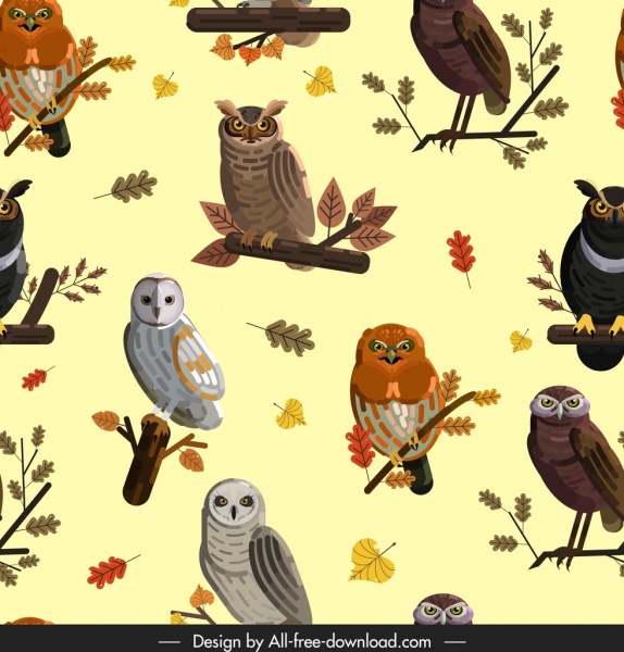 猫头鹰动物图案明亮五颜六色重复装饰