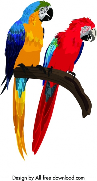 鸚鵡夫婦畫五顏六色的圖示裝飾卡通人物