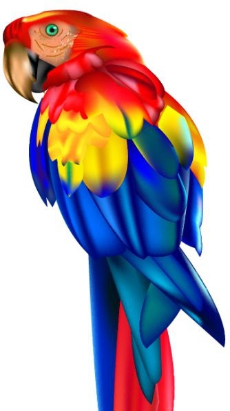 ícone do papagaio colorido closeup design 3d
