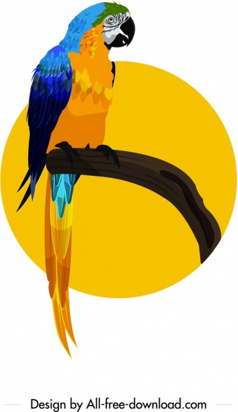 ikona kolorowy obraz papuga szkic