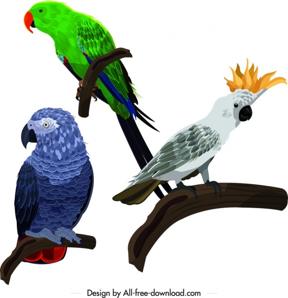 icônes de perroquet percher le geste design croquis coloré