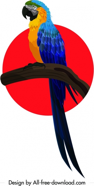 ikona kolorowy ptak papuga szkic