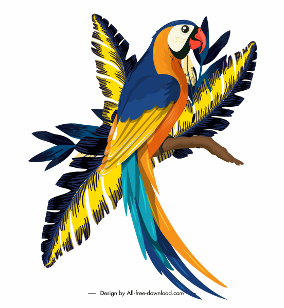 鹦鹉画五颜六色的经典卡通设计栖息手势