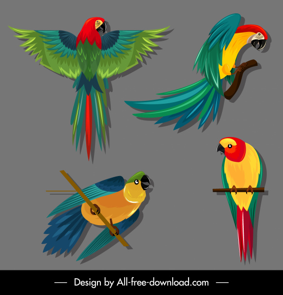 pappagallo specie icone colorate schizzo volante gesti appollaiati
