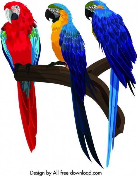鹦鹉画栖息鸟学校图标五颜六色的设计
