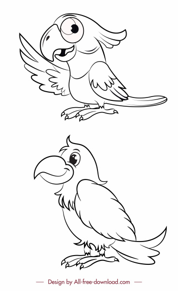papugi gatunki ikony czarny biały ręcznie rysowany szkic