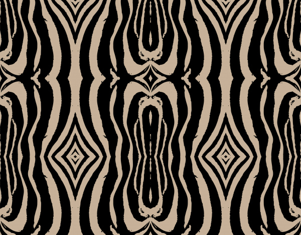 Zebra padrão