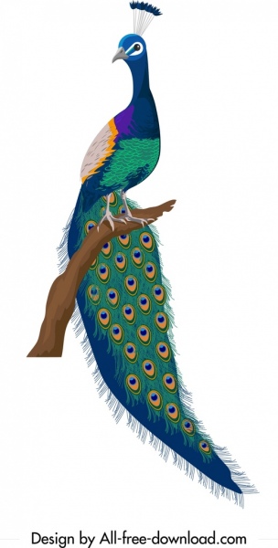 pavo real icono colorido elegante decoración