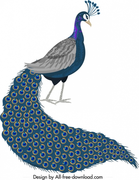 projeto de banda desenhada do pavão ícone cauda longa elegante decoração