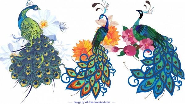 Iconos de pavo real colorido clásico dibujado a mano boceto
