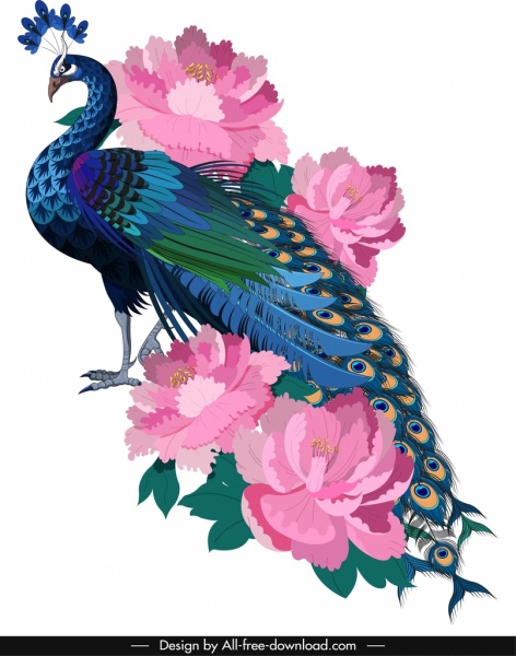 ภาพวาดนกยูงที่มีสีสันสง่างามร่างดอกไม้บานตกแต่ง