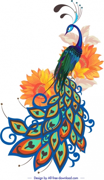 孔雀畫五顏六色的手繪素描花瓣裝飾
