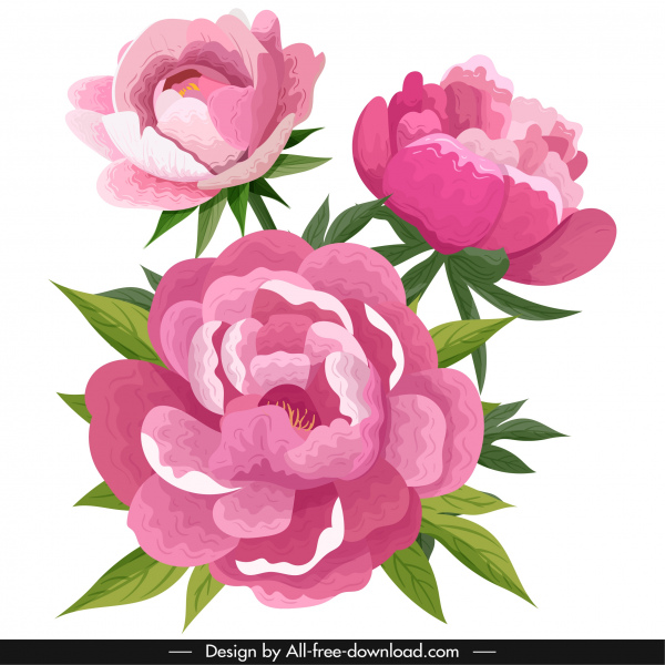 pintura de flora de peônias coloridas desenho clássico