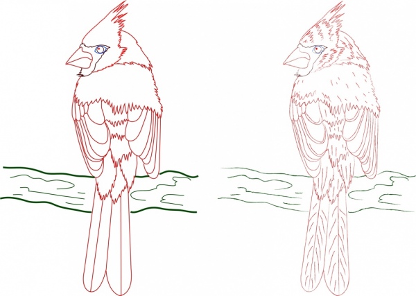 hockende Vogel Symbole farbige handgezeichnete Kontur