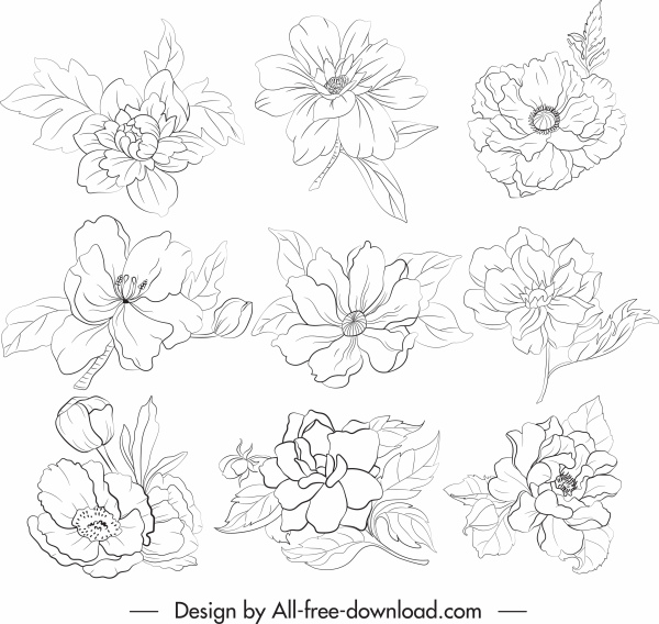 Blütenblätter Symbole schwarz weiß handgezeichnete Skizze