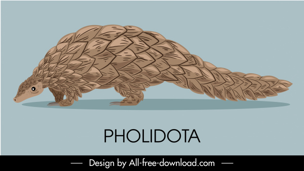pholidota Arten-Ikone klassische handgezeichnete Skizze