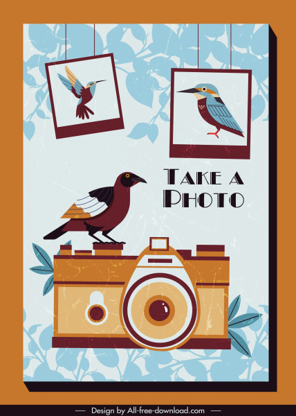 Fotoğraf arka plan retro tasarımı kuş kamera dekorasyonu