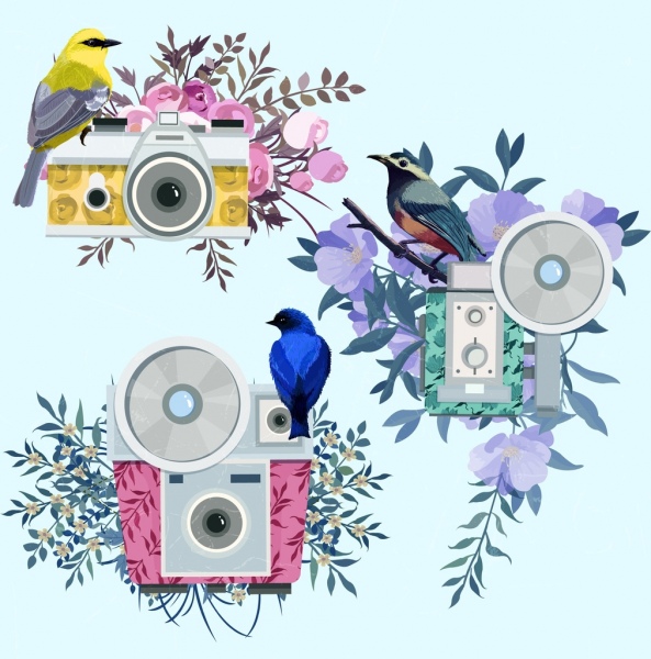 fotografi desain elemen kamera warna-warni burung bunga ikon