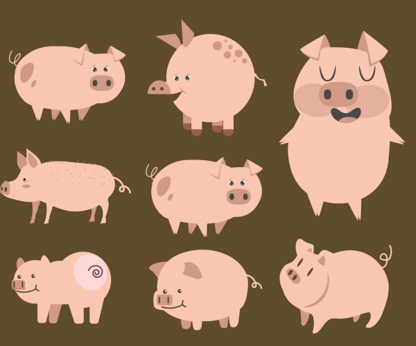 coleção de ícones de porco bonito personagens de desenhos animados