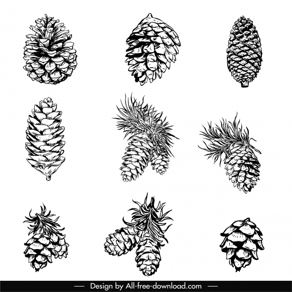 ícones pinheiro cone preto branco clássico esboço desenhado à mão