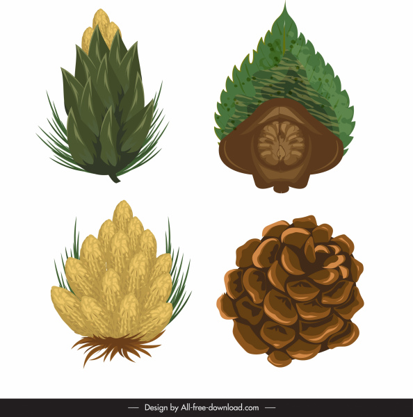 iconos de cono de pino de diseño clásico coloreado