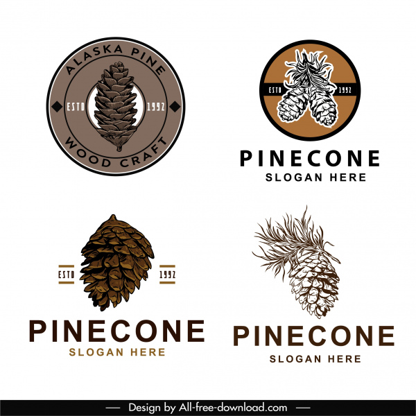 plantillas de logotipo de cono de pino elegante dibujado a mano vintage