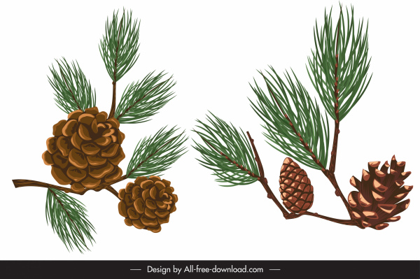 Pine Seeds biểu tượng màu thiết kế cổ điển