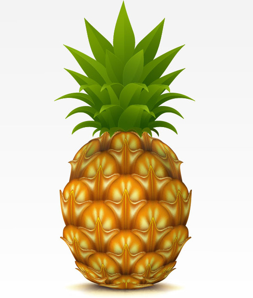 Graphique vectoriel d’éléments de conception d’ananas