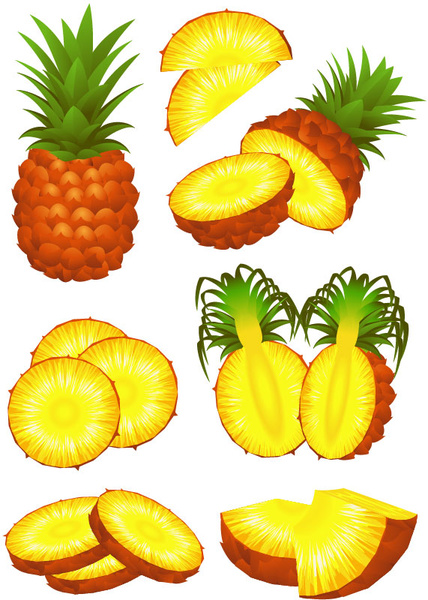 Graphiques vectoriels d’éléments de conception d’ananas 2