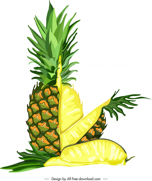 ananas jasny kolorowy plasterki obraz owoc szkic
