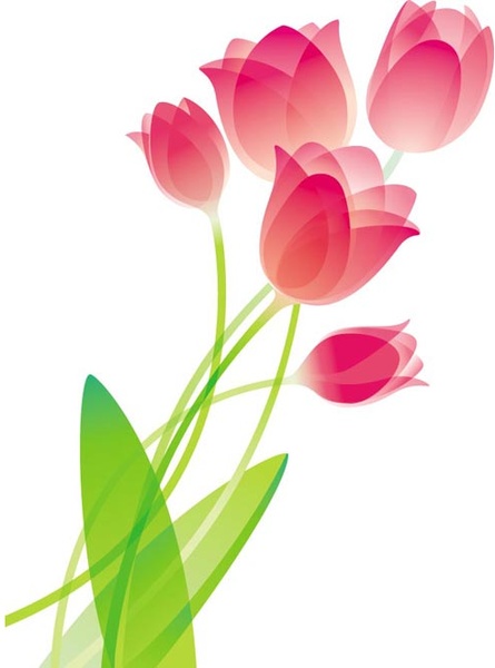 tulip brillant rose fleur bouquet vector art illustration