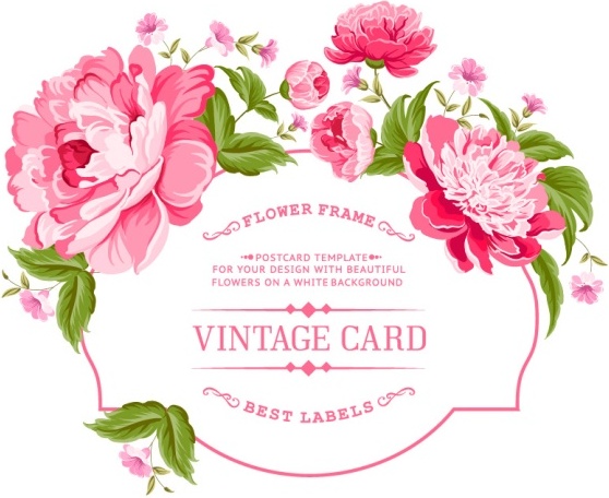 ピンクの牡丹フレーム ビンテージ カード ベクトル