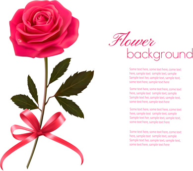 ピンクのバラの美しい背景ベクトル