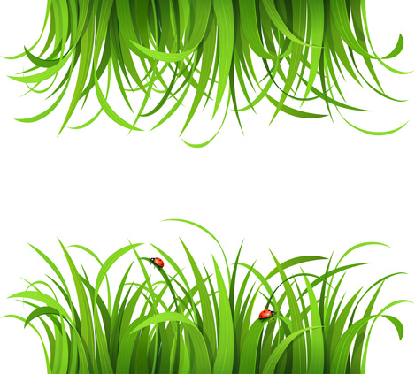 tanaman dan musim semi desain vektor