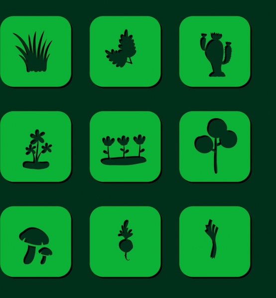 디자인 요소를 식물 다양 한 녹색 아이콘 격리