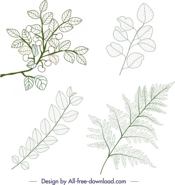icônes de plantes feuille verte branche croquis