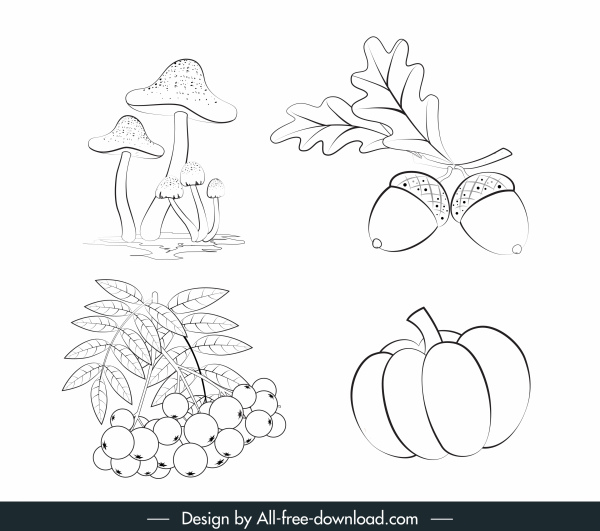 icone vegetali disegnati a mano funghi castagne schizzo