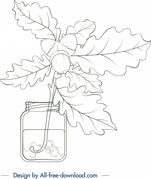 식물 항아리 그림 잎 밤나무 아이콘 손으로 그린 스케치