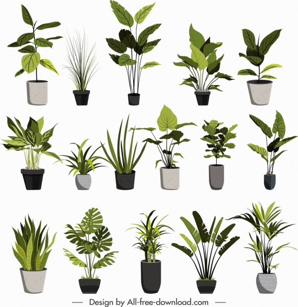 vasos de plantas ícones clássico verde cinza esboço
