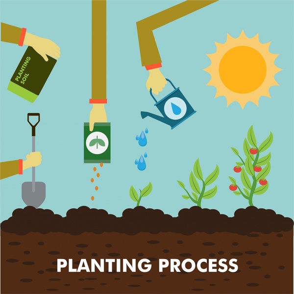 色付きのフラット スタイルと植栽のプロセス概念図