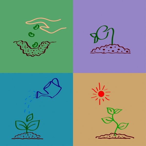 植樹過程概述手繪風格