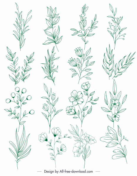 Pflanzen Symbole grün handgezeichnete Blatt Botanik Skizze