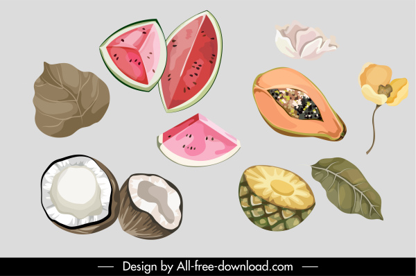 Pflanzen Icons Retro handgezeichnete Wassermelone Kokosnuss Ananas Papaya