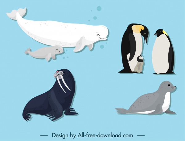 极地物种图标鲸鱼企鹅海豹素描