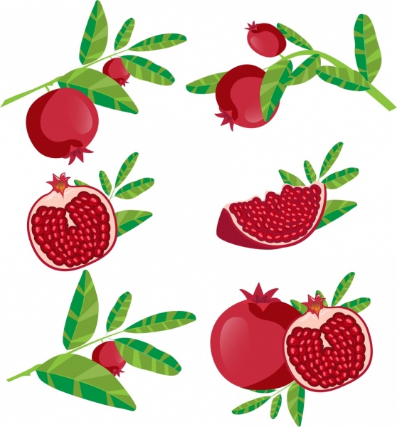 melograno sfondo frutta icone varie forme di isolamento