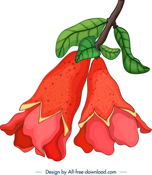 석류 꽃 봉 오리 그림 다채로운 클래식 디자인