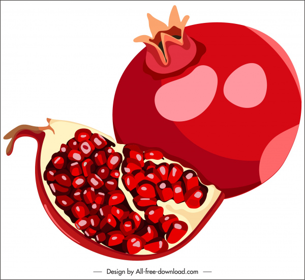 fatia de design clássico vermelho romã fruta ícone sketch